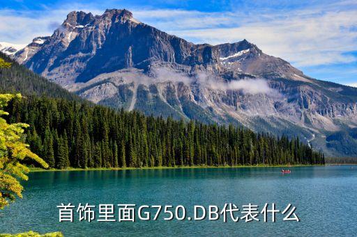 db鉆戒是什么意思,鉆戒au750是什么意思...